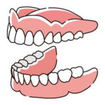 総入れ歯のイラスト（横向き）